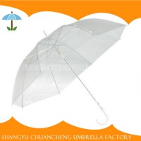 Hot Sale New Transparent Fold Umbrella