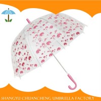 Superior High Quality Special Cheap Kids Transparent Poe Umbrella